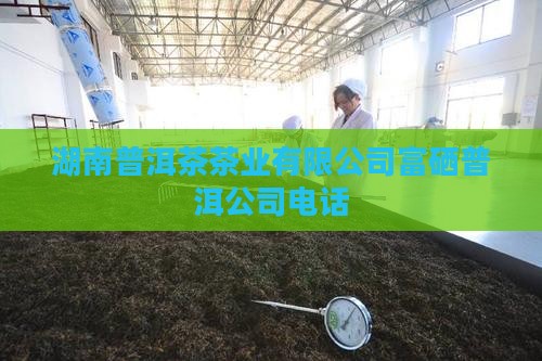 湖南富硒普洱茶加工厂电话