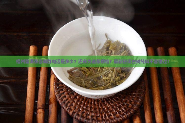 福州普洱茶咨询群电话