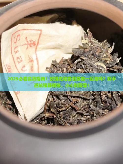 玫瑰花和普洱茶能一起泡吗