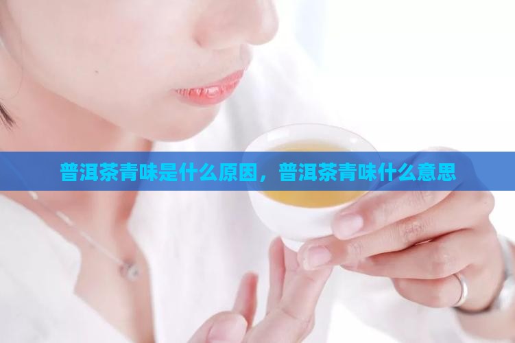 普洱茶有青味是什么意思