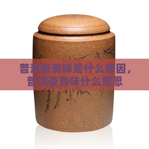 普洱茶有青味是什么意思