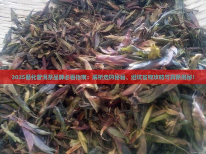 循化普洱茶品牌
