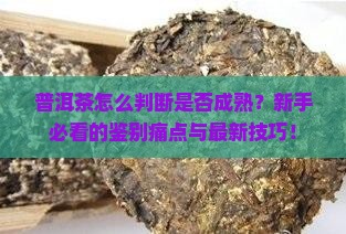 普洱茶怎么判断是否成熟