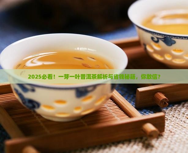 一芽一叶普洱茶