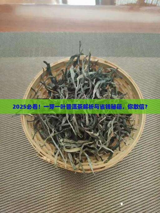一芽一叶普洱茶