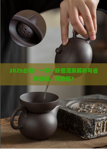 一芽一叶普洱茶