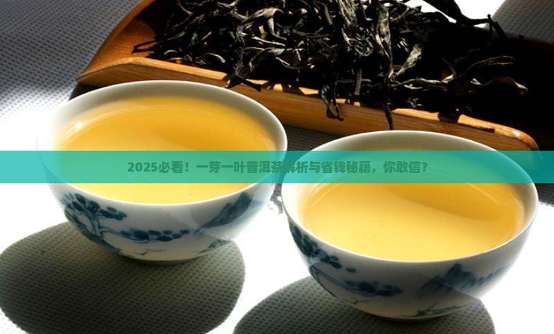 一芽一叶普洱茶
