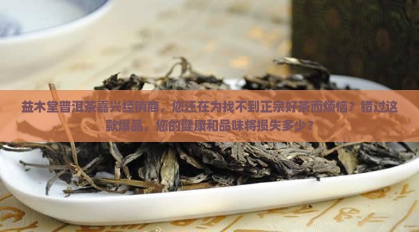 益木堂普洱茶嘉兴经销商
