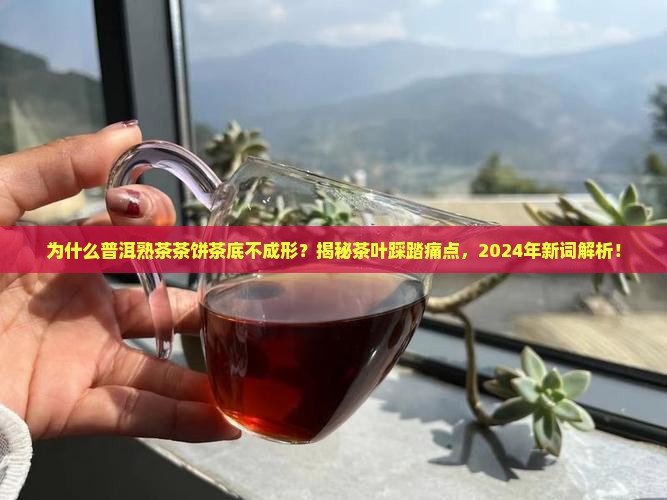 普洱茶熟茶茶饼茶底不成形