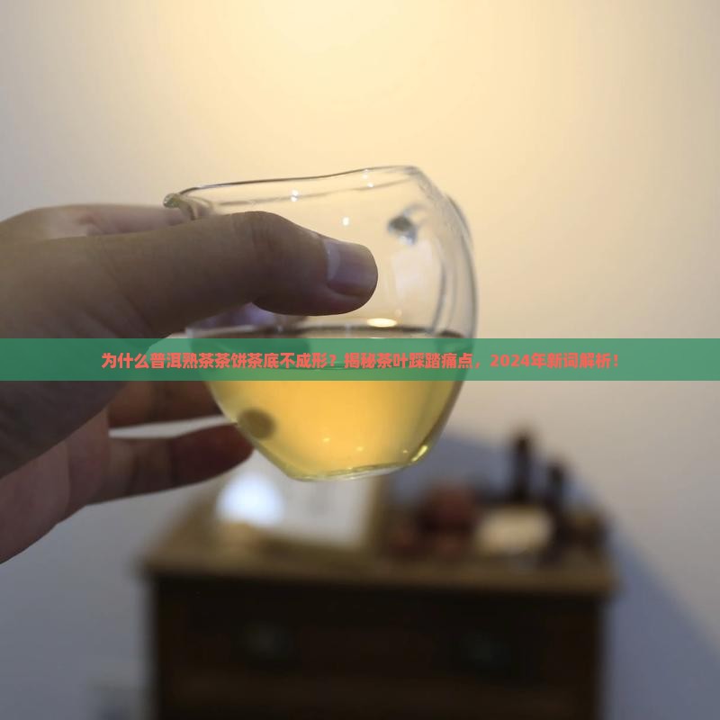 普洱茶熟茶茶饼茶底不成形