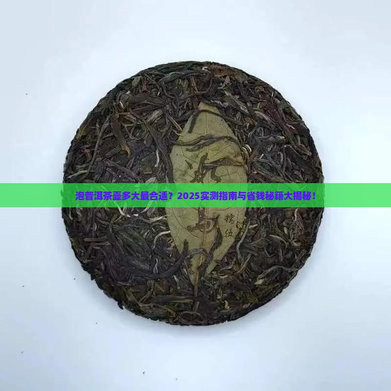 泡普洱茶的茶壶多大好