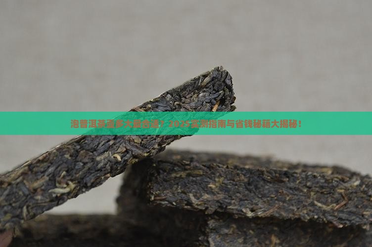 泡普洱茶的茶壶多大好