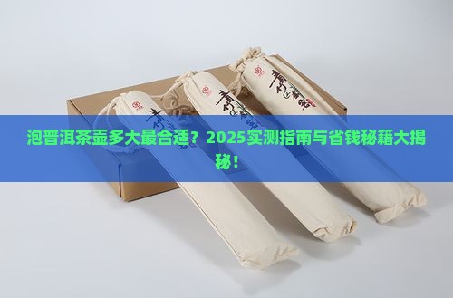 泡普洱茶的茶壶多大好