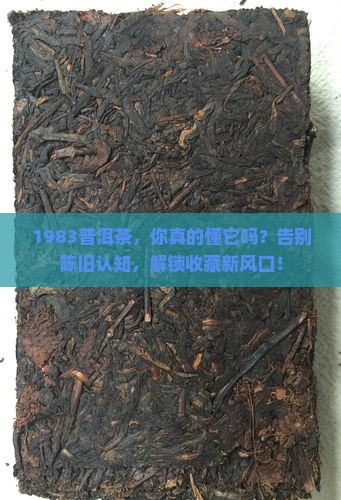 1983普洱茶