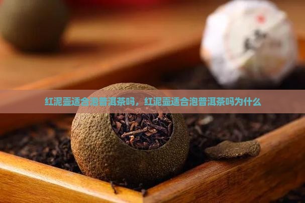 红泥壶适合泡普洱茶吗