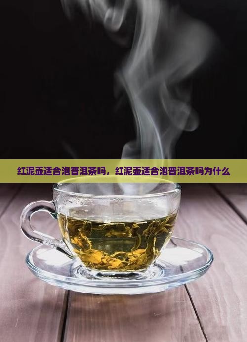 红泥壶适合泡普洱茶吗
