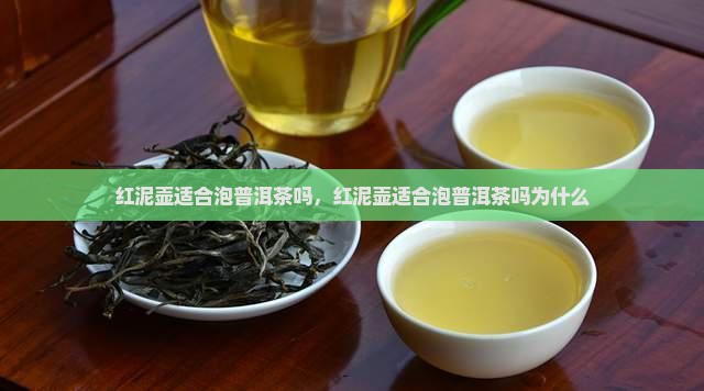 红泥壶适合泡普洱茶吗