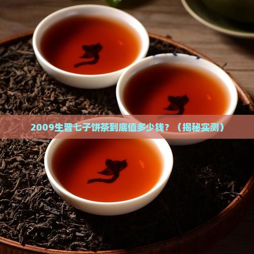 云南七子饼茶价格2009生普