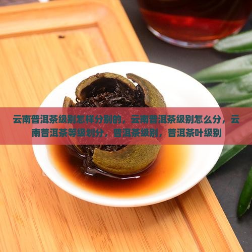 云南普洱茶级别