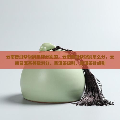 云南普洱茶级别