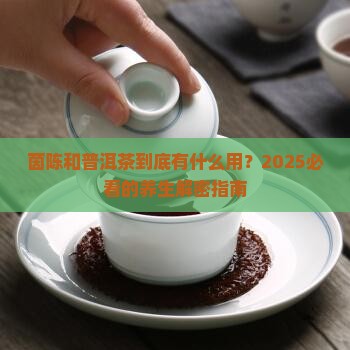 茵陈和普洱茶的功效