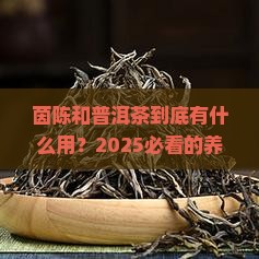 茵陈和普洱茶的功效