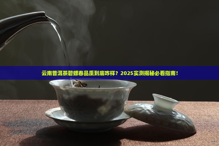 云南普洱茶碧螺春品质怎样