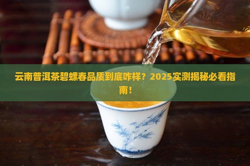 云南普洱茶碧螺春品质怎样