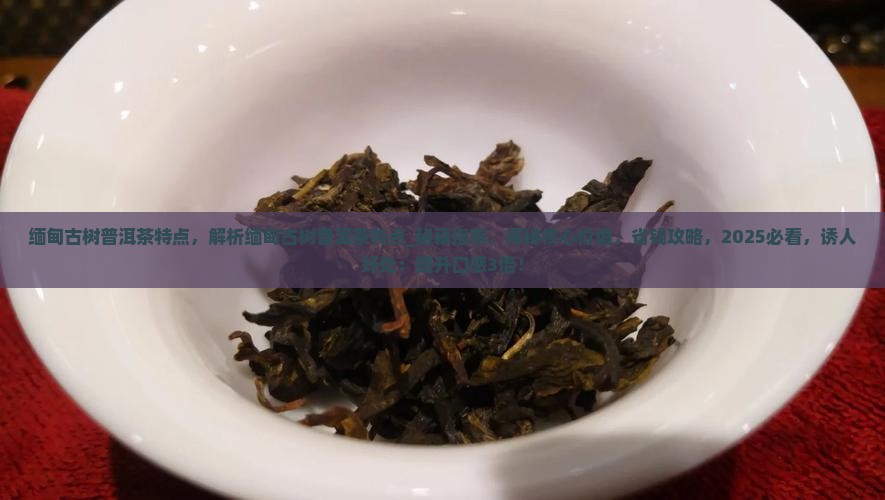 缅甸古树普洱茶特点