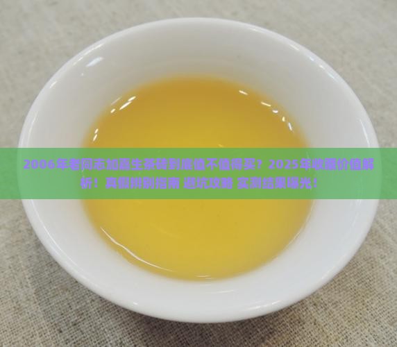 2006年老同志加嘉生茶砖