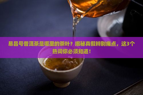 易昌号普洱茶是哪里的茶叶