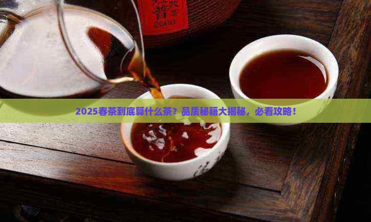 春茶属于什么茶春茶的品质特点
