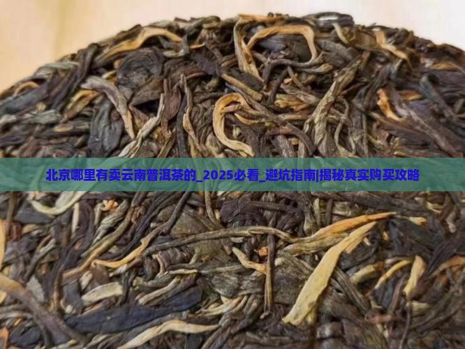 北京哪里有卖云南普洱茶的