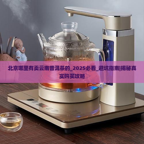 北京哪里有卖云南普洱茶的