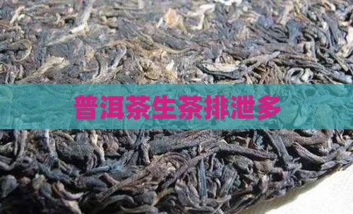 普洱茶生茶排泄多