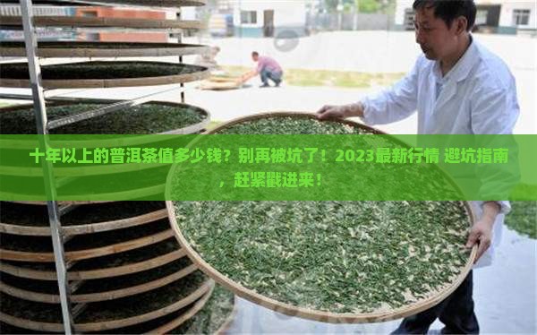 十年以上的普洱茶值多少钱