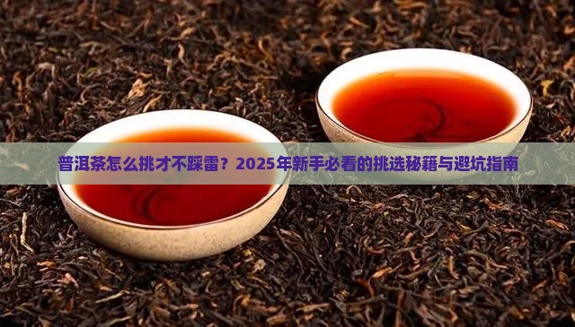 普洱茶如何挑选茶