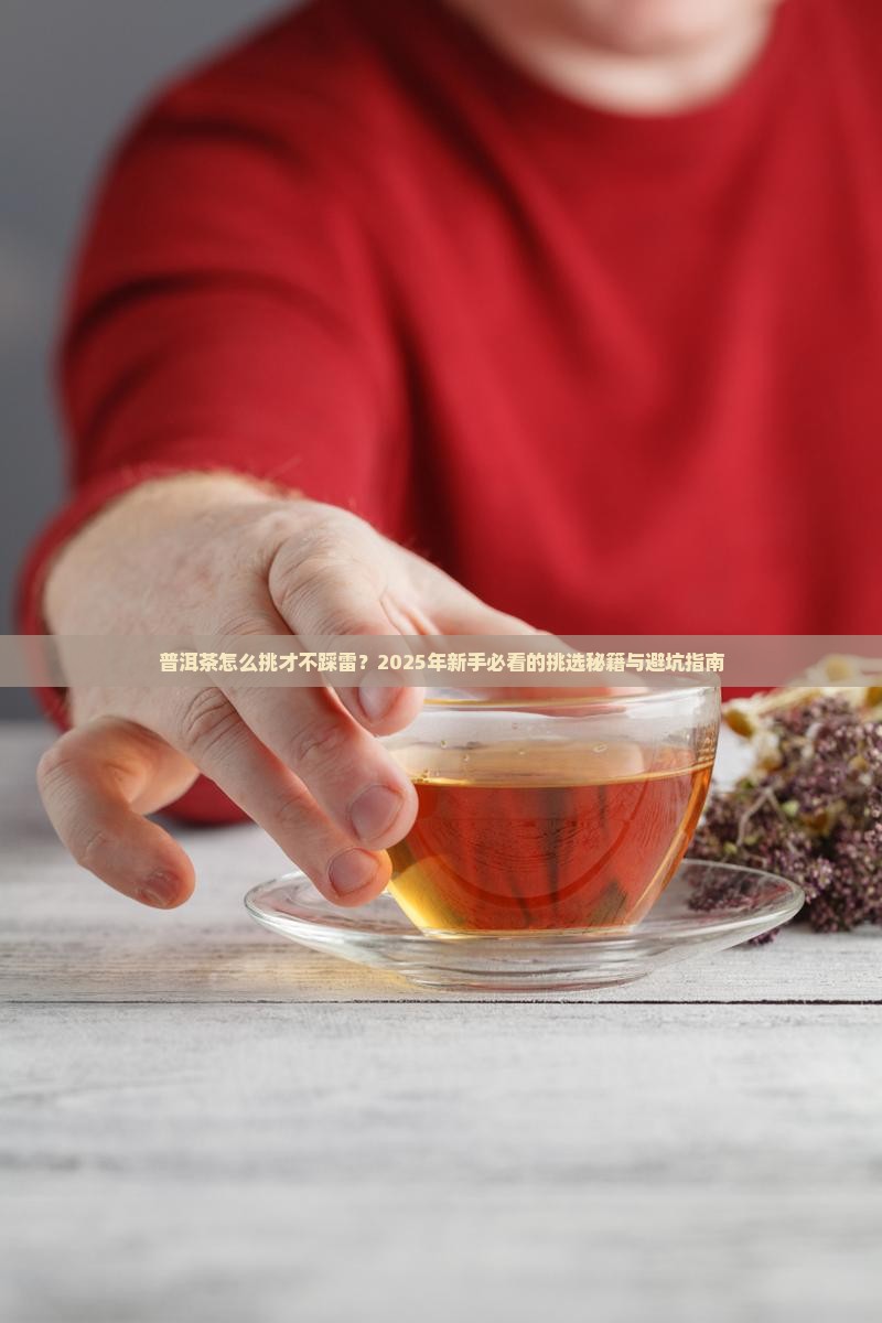 普洱茶如何挑选茶