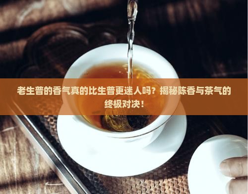 老生普的香气生普的口感滋味