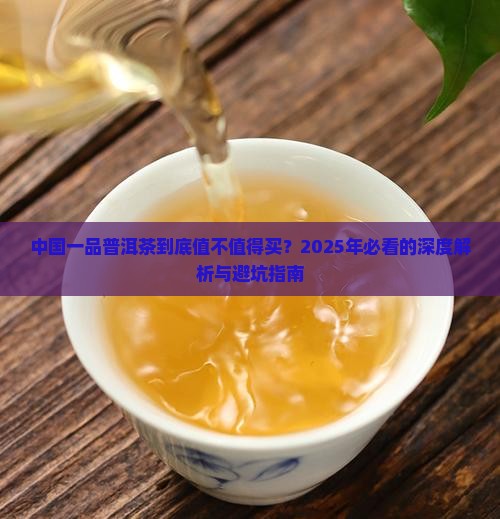 中国一品普洱茶怎么样啊