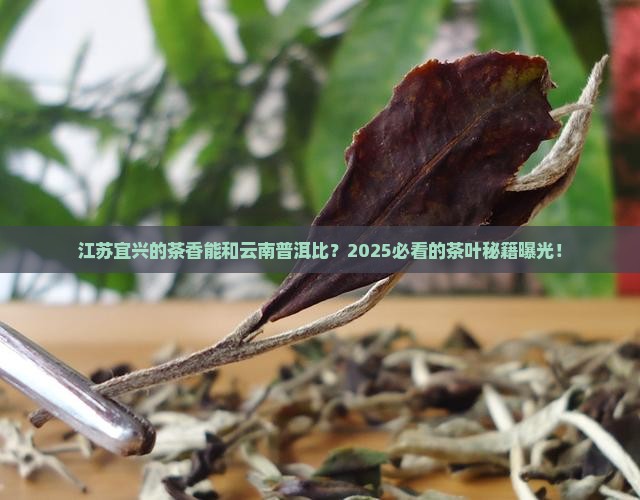 江苏宜兴的茶叶与云南普洱