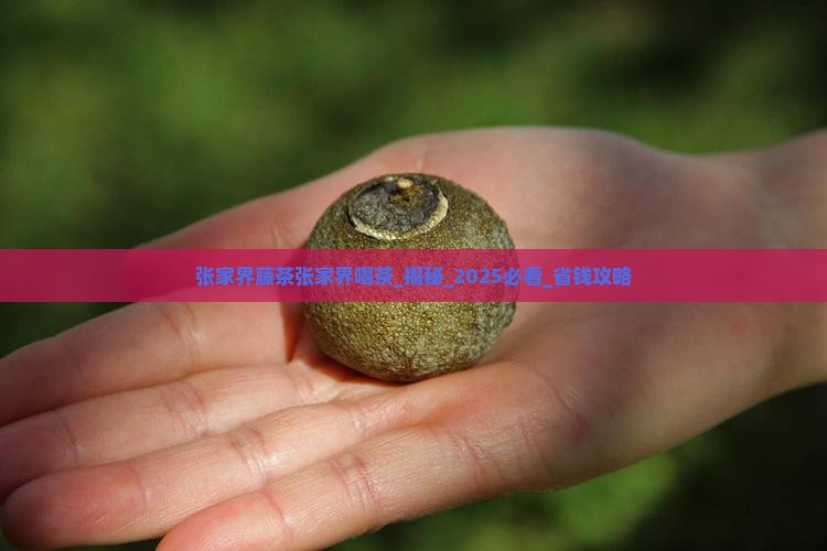 张家界藤茶张家界喝茶