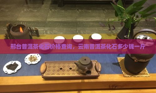 邢台普洱茶化石