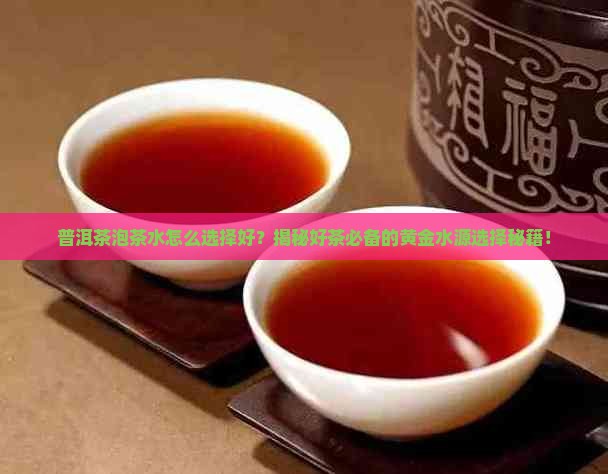 普洱茶泡茶水怎么选择好