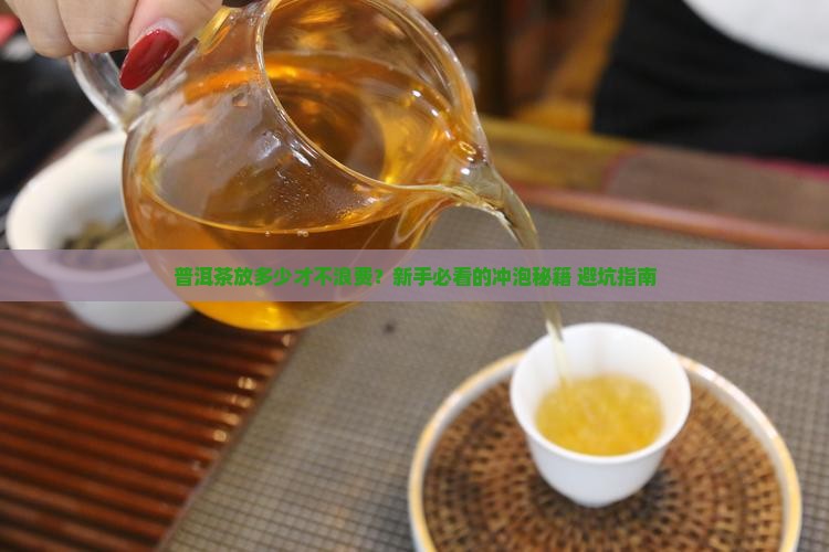 普洱茶放多少冲泡好