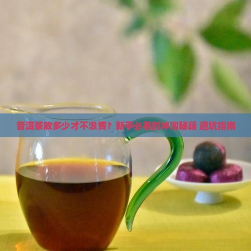 普洱茶放多少冲泡好