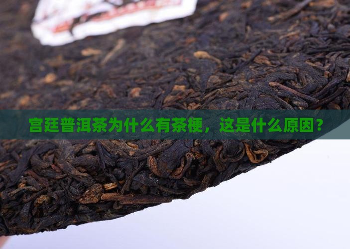宫廷普洱茶为什么有茶梗
