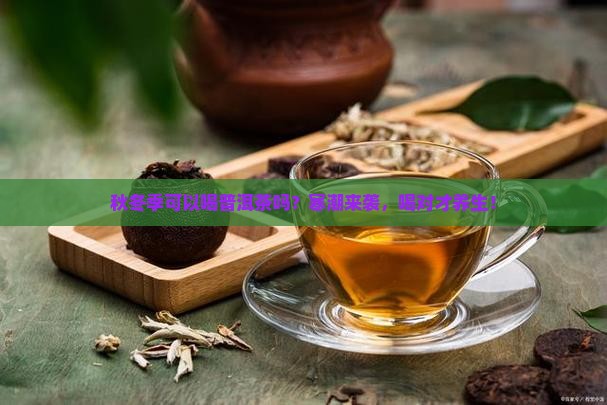 秋冬季可以喝普洱茶吗