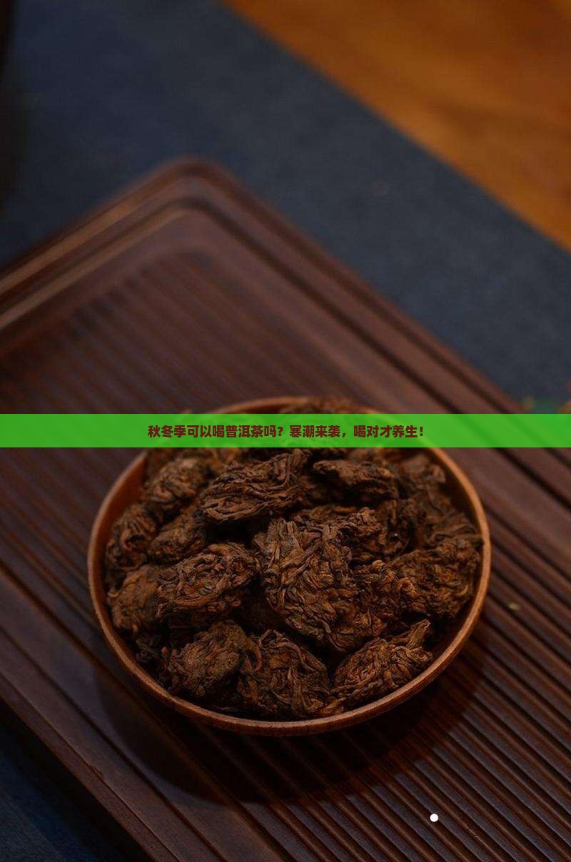 秋冬季可以喝普洱茶吗