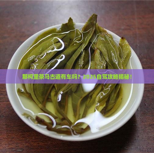普洱茶马古道那柯里有车吗